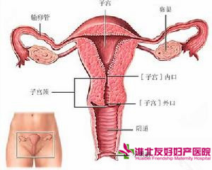 宫颈炎会引起闭经吗